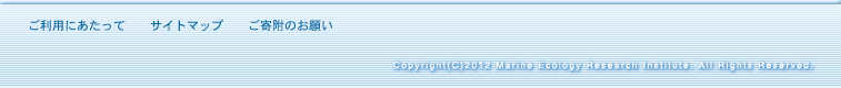 �t�b�^�[