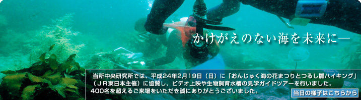 �g�b�v�C���[�W��ʁF���������̗l�q