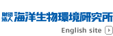 �C�������S