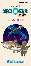 海の豆知識Vol.72表紙