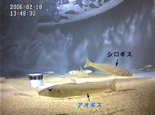 解説写真(2)
