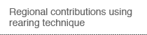 Regional contributions using rearing technique