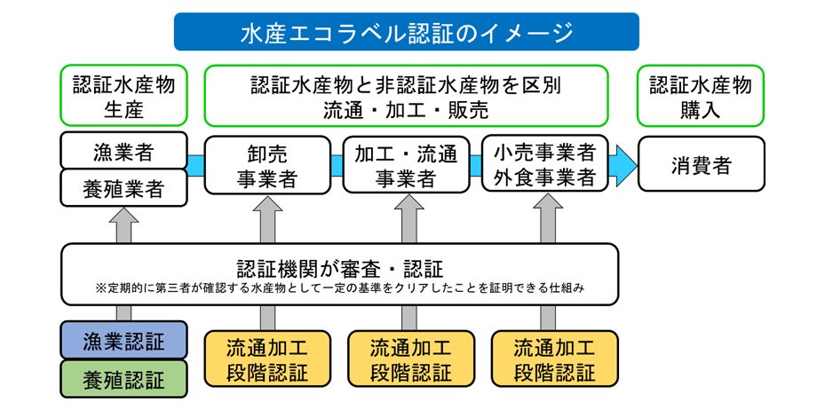 水産エコラベル認証のイメージ