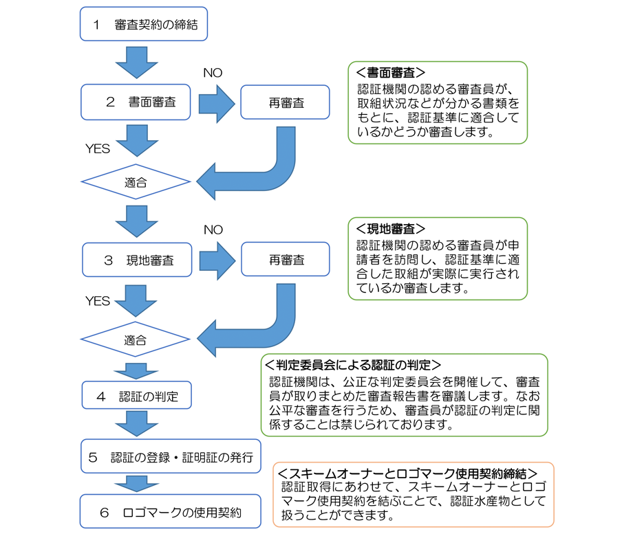 審査手順の概要