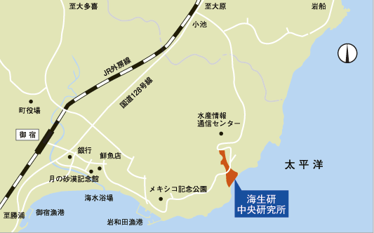 中央研究所地図