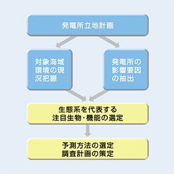 図版:発電所立地計画から調査を実施していくまでの流れが図式化されています