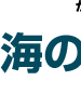 タイトル：海の豆知識