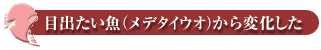 目出たいメデタイウオ）から変化した