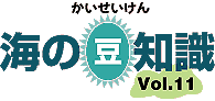 海の豆知識Vol.11