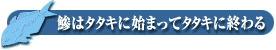 鯵はタタキに始まってタタキに終わる