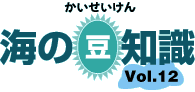 海の豆知識Vol.12