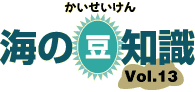 海の豆知識Vol.13