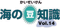 海の豆知識Vol.14