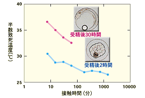 グラフ：縦軸に半数致死温度（℃）、横軸に接触時間（分）。マダイの卵、受精後2時間のものと受精後30時間のものの温度耐性が比較されています