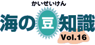 海の豆知識Vol.16