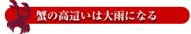 蟹の高這いは大雨になる