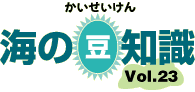 海の豆知識Vol.23