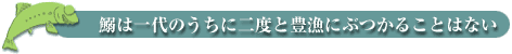 鰯は一代のうちに二度と豊漁にぶつかることはない