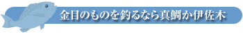 金目のものを釣るなら真鯛か伊佐木