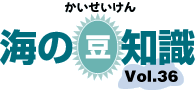 海の豆知識Vol.36