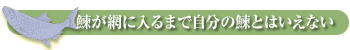 鰊が網に入るまで自分の鰊とはいえない