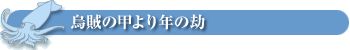 烏賊の甲より年の劫