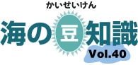 海の豆知識Vol.40