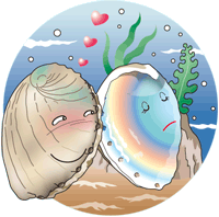 イラスト：アワビの貝殻が二つ。片方がもう一方に恋している様子