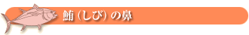鮪(しび)の鼻