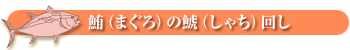 鮪(まぐろ)の鯱回し