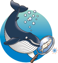 イラスト：白魚を虫眼鏡で覗くクジラ