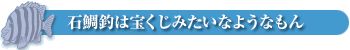 石鯛釣は宝くじみたいなようなもん