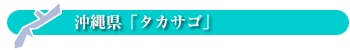 沖縄県「タカサゴ」