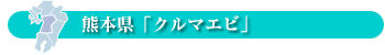 熊本県「クルマエビ」