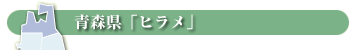 青森県「ヒラメ」