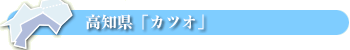 高知県「カツオ」