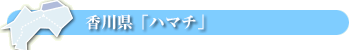 香川県「ハマチ」