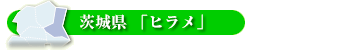 神奈川県「シラス、ハマグリ」